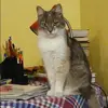 Отзыв от Надежда Горюнова